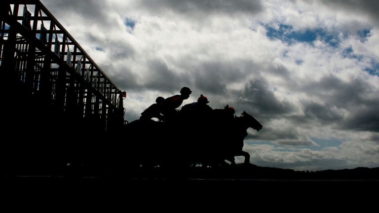 Лошадь Боба Бафферта Тайба стала фаворитом 7-5 в Haskell Stakes на 1 миллион долларов