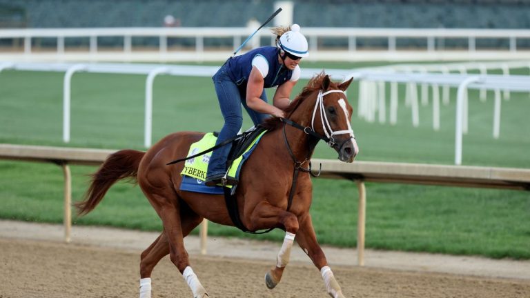 Победитель Arkansas Derby Cyberknife выиграл 1 миллион долларов Haskell Stakes в Monmouth Park