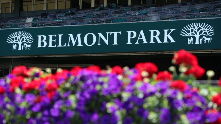Belmont Park построит туннели, обеспечивающие доступ к приусадебному участку на ипподроме